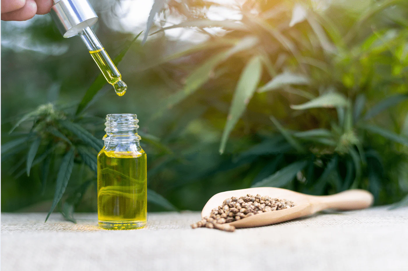 CBD Oil Canada