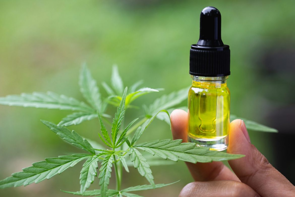 The Many World of CBD Oil: Appreciating Its Function in Beyond Pain Management
