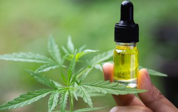 The Many World of CBD Oil: Appreciating Its Function in Beyond Pain Management