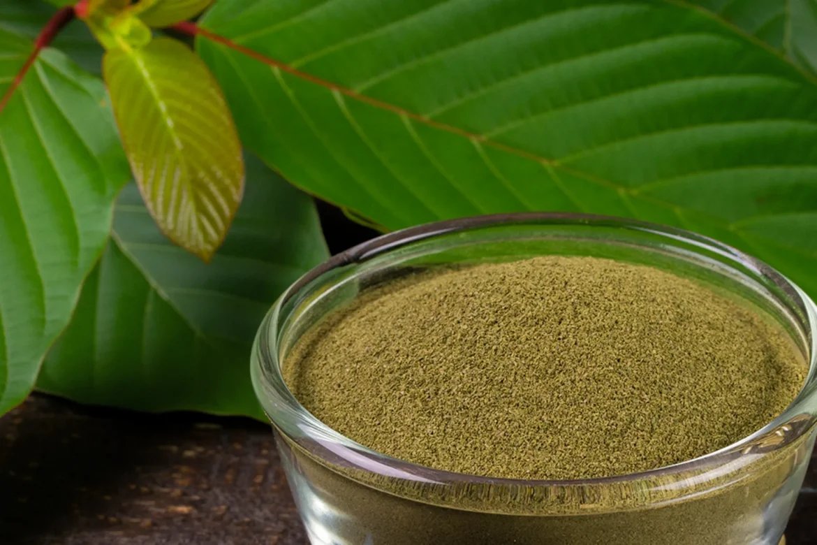 Kratom Concentrates: The Strange Comparison of Regular Powder Against Extracts