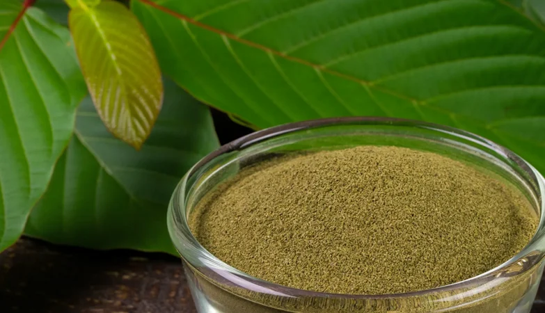 kratom extraction methods